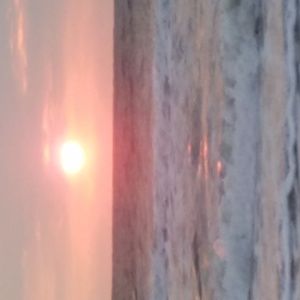 Meet your Posher, Breedog2.o